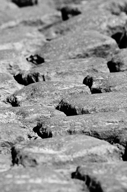Paris-Roubaix pavé